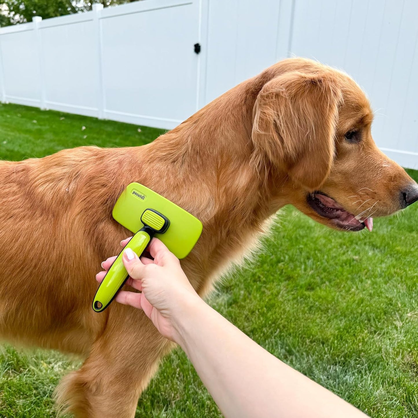 Self-Cleaning Slicker Brush for Dogs and Cats - Lightweight Undercoat Hair Removal Tool for Long, Thick, and Double-Coated Breeds