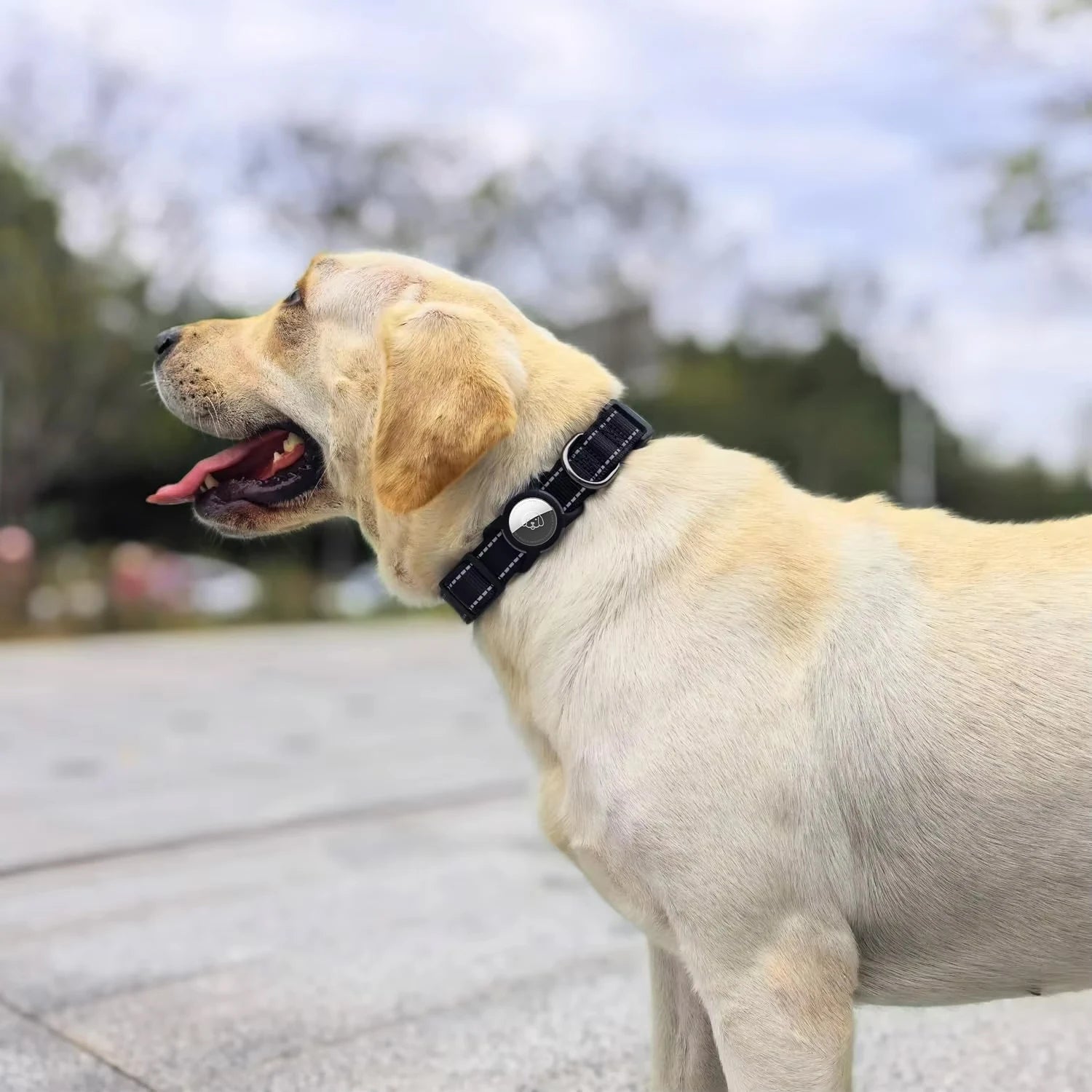 Premium Airtag Dog Collar with Waterproof Case, Reflective Soft Padding, and Adjustable Design for Large Dogs