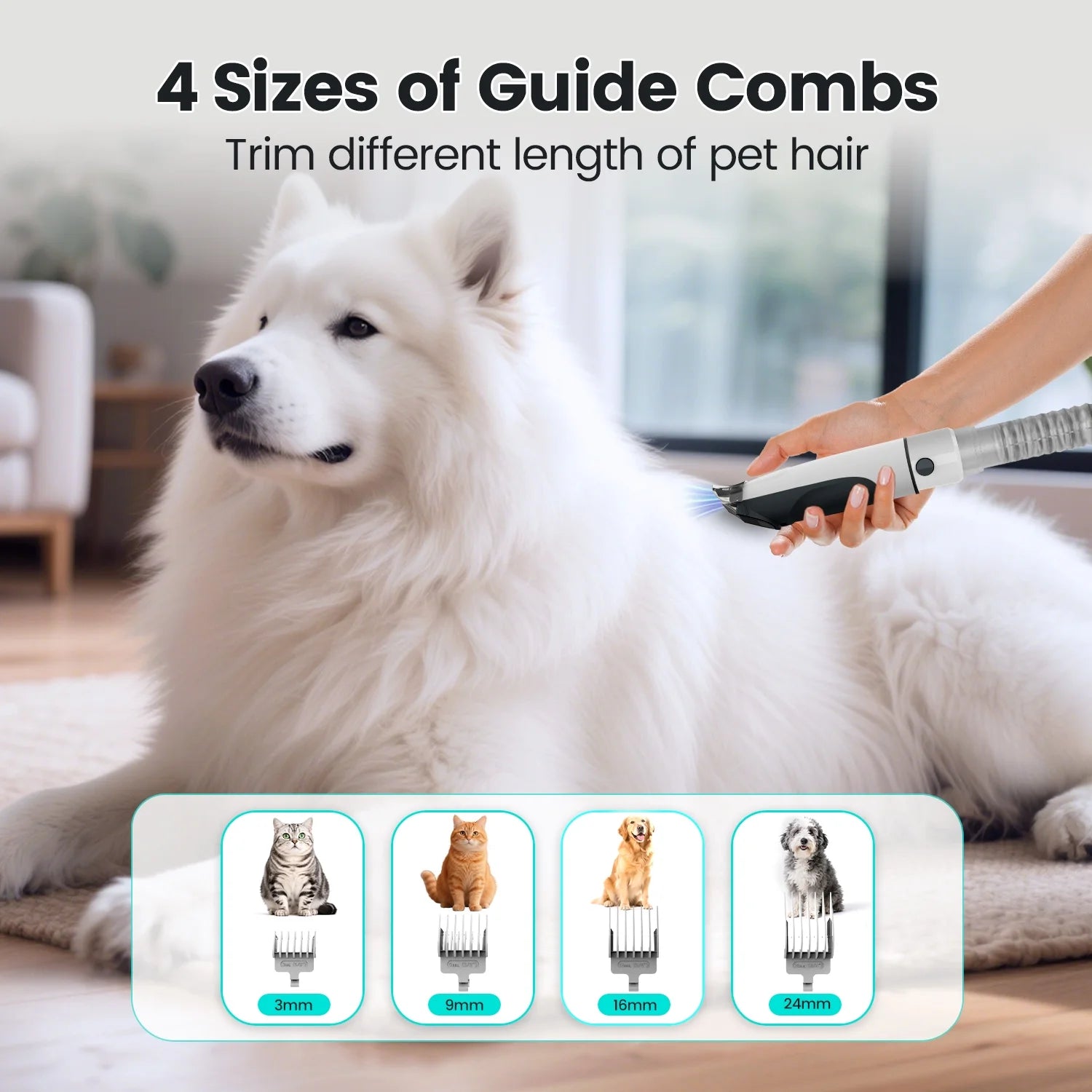 7-in-1 Dog Grooming Vacuum Kit with 11000Pa Super Suction for Effective Pet Hair Removal and Low Noise Operation