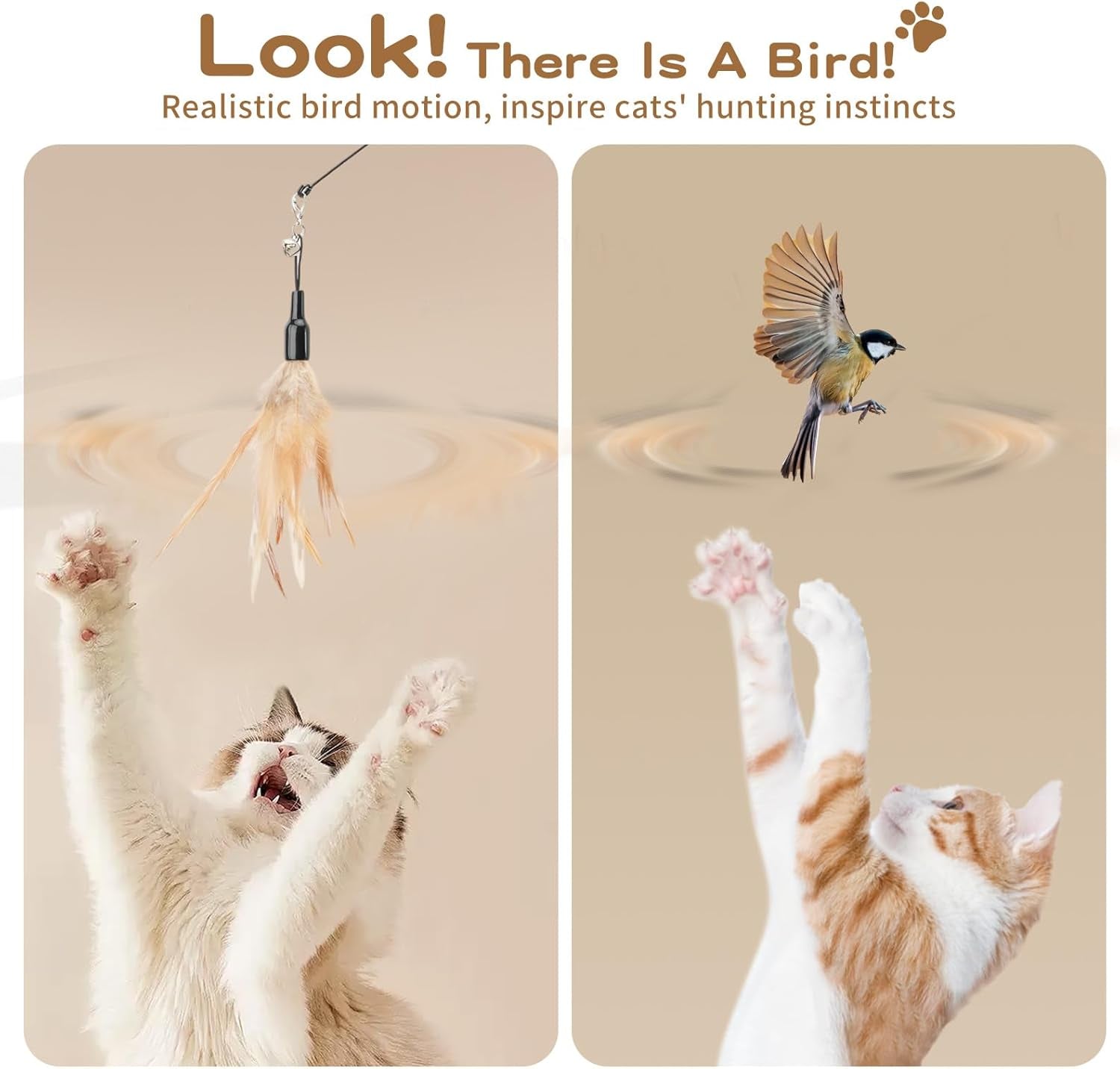 Feather Teaser Cat Toy - Interactive 34.5" Wand with Small Bell for Engaging Play and Exercise for Kittens and Cats, Brown Feather Design
