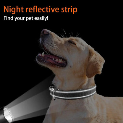 Premium Airtag Dog Collar with Waterproof Case, Reflective Soft Padding, and Adjustable Design for Large Dogs